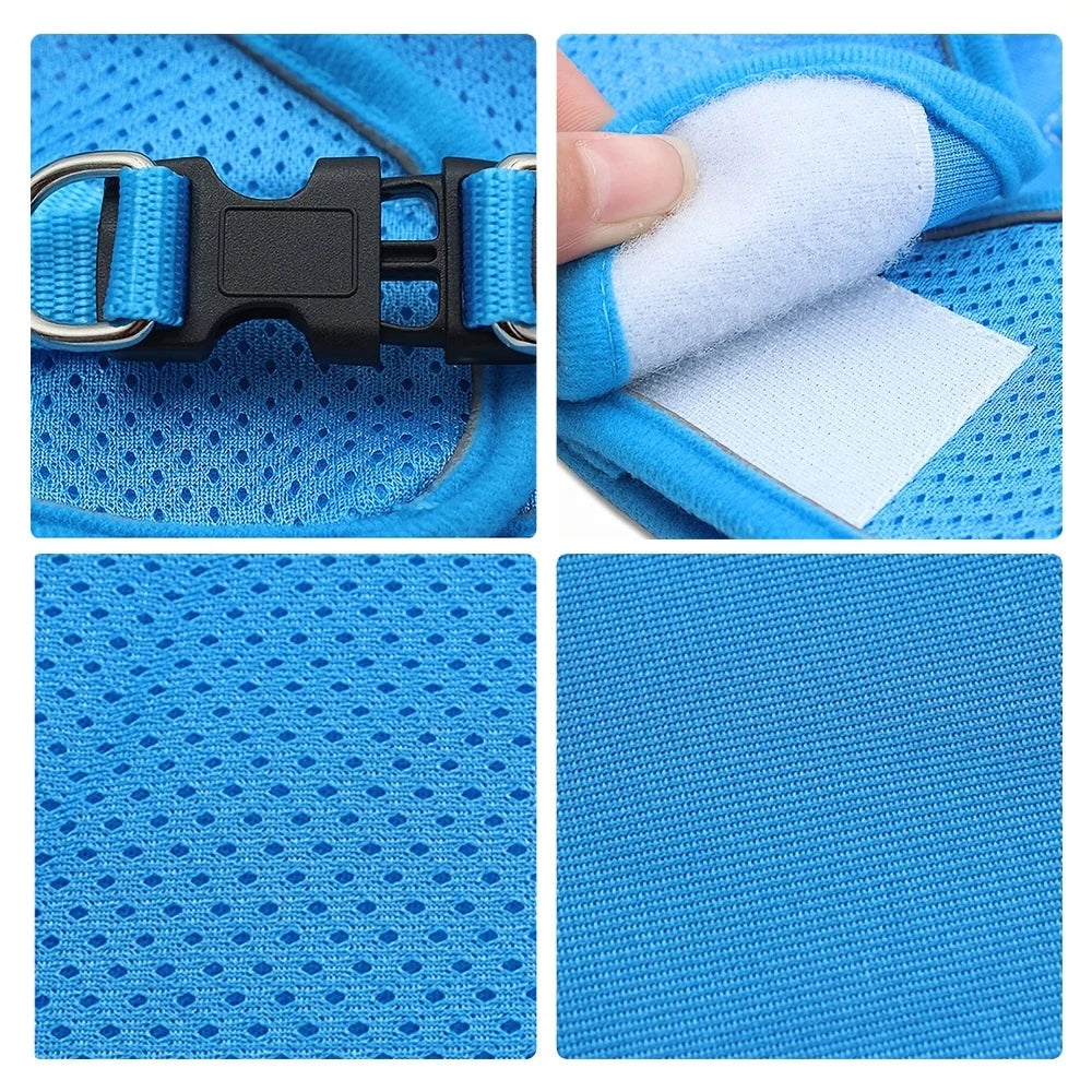 Harnais Respirant Réglable + Laisse – Confort et Sécurité